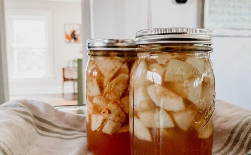 My Journey with Food Preservation